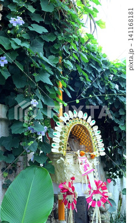 Small outdoor shrine decorated with woven palm ornaments, hanging garlands, and dense climbing vines with purple morning glory blooms against textured garden wall in soft daylight Small outdoor shrine decorated with woven palm ornaments, hanging garlands, and dense climbing vines with purple morning glory blooms against textured garden wall in soft daylight 141168181