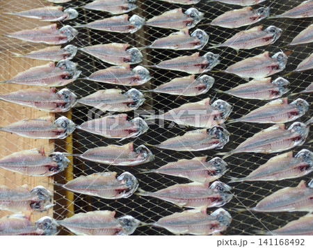 熱海の干物 熱海の干物 141168492
