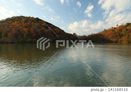 紅葉した木々と池 141168510
