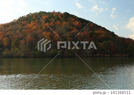 紅葉した木々と池 141168511