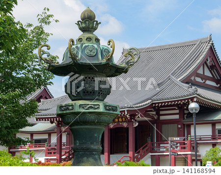 青空と新緑に包まれる増上寺の大殿と重厚な金灯籠 青空と新緑に包まれる増上寺の大殿と重厚な金灯籠 141168594