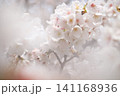 ほのぼの 141168936