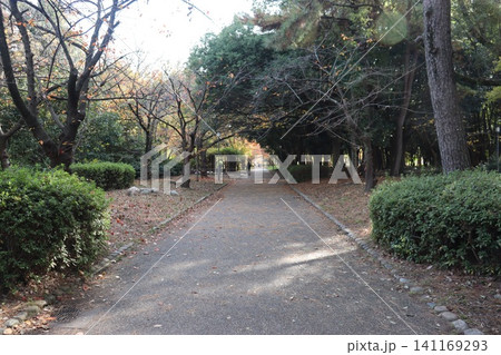 大阪城公園の秋の風景 141169293