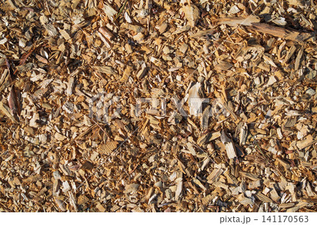 Natural Wood Chips Texture Background for Garden Mulch and Sustainable Biomass Fuel Industry Natural Wood Chips Texture Background for Garden Mulch and Sustainable Biomass Fuel Industry 141170563
