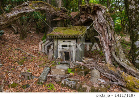 尾鈴山山頂近くの尾鈴神社上宮 尾鈴山山頂近くの尾鈴神社上宮 141171197
