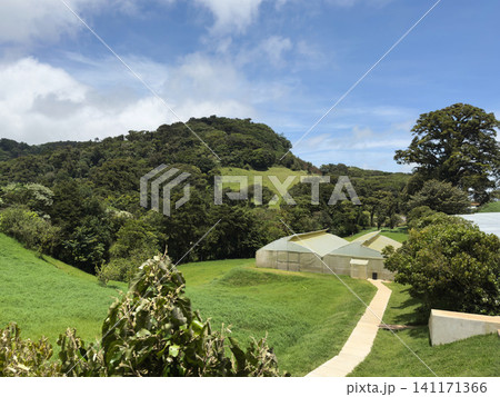 Plantation area with buildings and green hills in Nicaragua Plantation area with buildings and green hills in Nicaragua 141171366