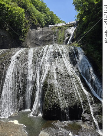 迫力ある四段の岩肌を流れる初夏の袋田の滝 迫力ある四段の岩肌を流れる初夏の袋田の滝 141171511