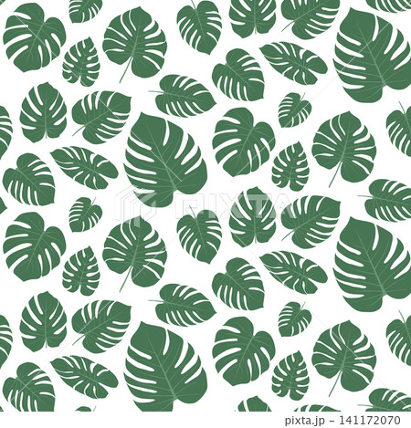 Tropical Monstera Leaf Seamless Pattern in Minimal Flat Vector Style Tropical Monstera Leaf Seamless Pattern in Minimal Flat Vector Style 141172070