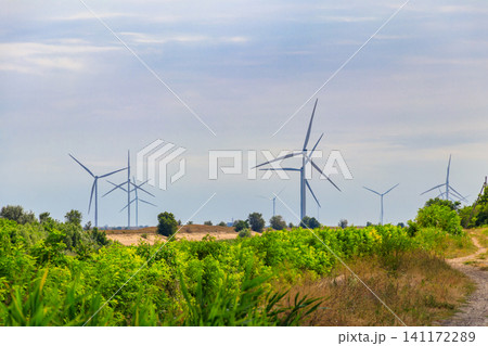 Wind turbines in a field. Renewable energy 141172289