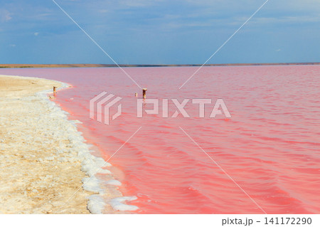 View of the pink salty Syvash lake in Kherson region, Ukraine 141172290