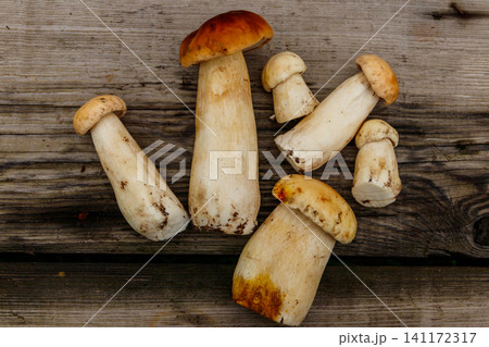Freshly picked porcini mushrooms on rustic wooden table. Top view Freshly picked porcini mushrooms on rustic wooden table. Top view 141172317