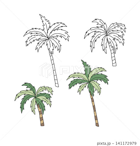 Tropical palm trees set flat vector graphic illustration. Isolated exotic botanical doodle elements with white background for summer beach designs, travel branding, greeting cards, nautical patterns 141172979