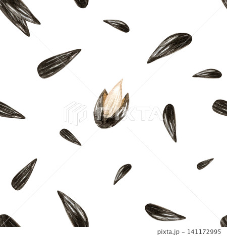 Watercolor sunflower seeds seamless pattern. Isolated on white background. Open and close kernel. Hand drawn illustration for snack packaging design, healthy food labels, oil production 141172995