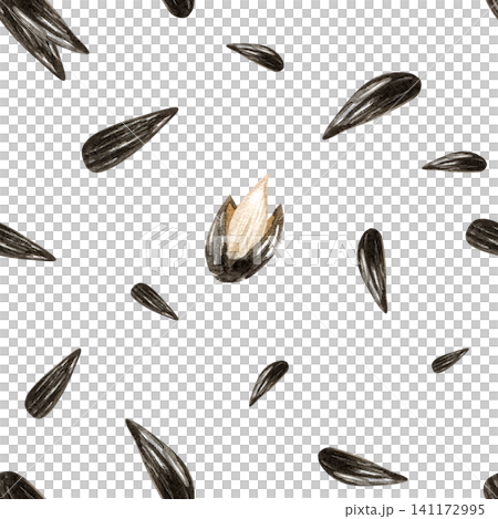 Watercolor sunflower seeds seamless pattern. Isolated on white background. Open and close kernel. Hand drawn illustration for snack packaging design, healthy food labels, oil production 141172995