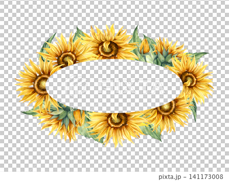 Watercolor sunflower ellipse wreath. Hand painted floral frame illustration of yellow flowers, green leaves. Template with copy space isolated from background. For card, branding, packaging design 141173008