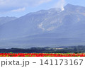 北海道上富良野町、噴煙を上げる十勝岳【7月】 141173167