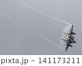 F15 イーグル 制空戦闘機 141173211