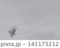 F15 イーグル 制空戦闘機 141173212