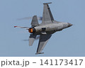 F-16 ファイティングファルコン 141173417