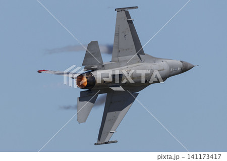 F-16 ファイティングファルコン 141173417