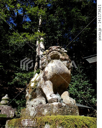 京都 祟道神社 獅子 京都 祟道神社 獅子 141173621