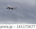 日本国 政府専用機  141173677