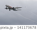 日本国 政府専用機  141173678