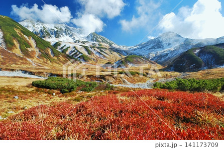 紅葉の雷鳥沢から望む立山連峰 紅葉の雷鳥沢から望む立山連峰 141173709