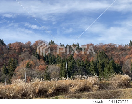 紅葉した山 141173736