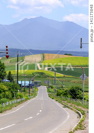 北海道上富良野町、道道留辺蘂上富良野線から眺めた富良野岳【7月】 141173848