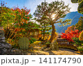 赤沢宿 紅葉 山梨県 早川町 赤沢宿 紅葉 山梨県 早川町 141174790