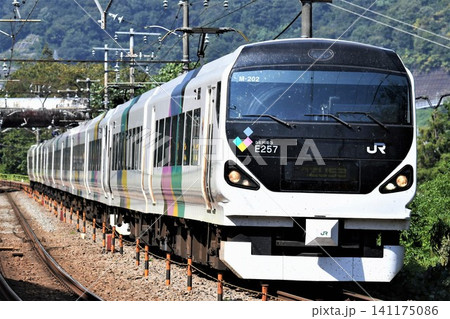JR特急「あずさ」 E257系 JR特急「あずさ」 E257系 141175086
