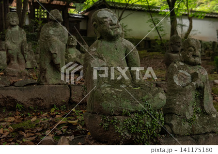 星巖寺の五百羅漢 星巖寺の五百羅漢 141175180