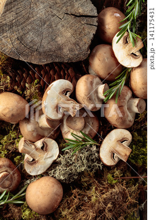 Fresh champignons with rosemary in forest. Fresh champignons with rosemary in forest. 141175431