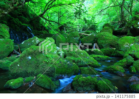 滝のある風景 滝のある風景 141175885