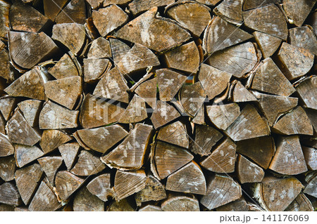 Wood logs stacked for storage before winter season begins in rural area 141176069
