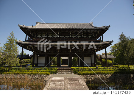 東福寺 思遠池から望む重厚な佇まいの三門2 東福寺 思遠池から望む重厚な佇まいの三門2 141177429