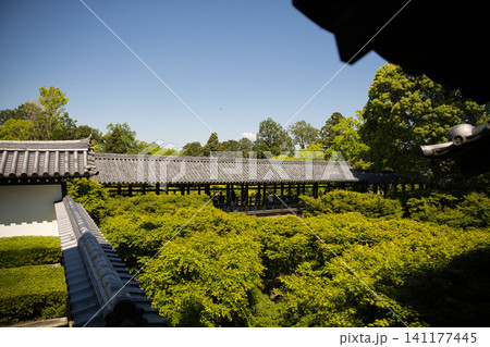 東福寺　方丈西庭から望む通天橋1 141177445