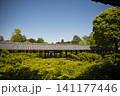 東福寺　方丈西庭から望む通天橋2 141177446