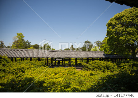 東福寺 方丈西庭から望む通天橋2 東福寺 方丈西庭から望む通天橋2 141177446