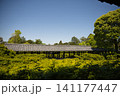 東福寺　方丈西庭から望む通天橋3 141177447