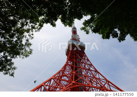 Famous Tokyo Tower Rising Above the Modern City Skyline in Tokyo, Japan 141177550