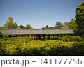 東福寺　方丈西庭から望む通天橋5 141177756