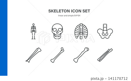 Simple Set of Human Skeleton Related Vector Line Icons. Contains such Icons as Skull, Rib Cage, Spine, Pelvis, Femur and more. Editable Stroke. Pixel Perfect Vector. 141178712