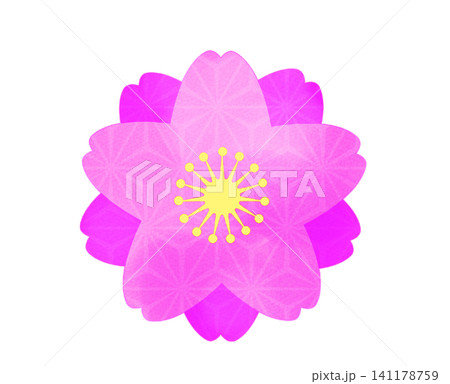 水彩風八重桜のイラスト  141178759