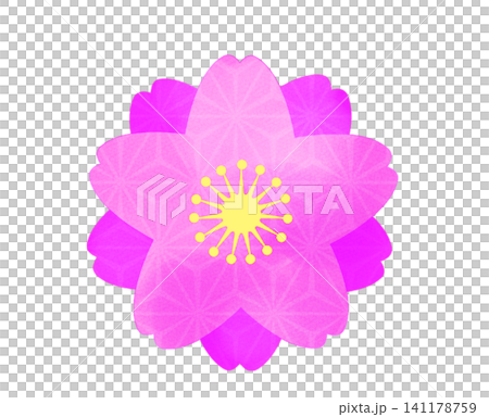 水彩風八重桜のイラスト  141178759