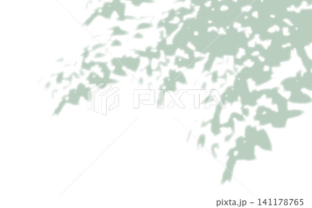 緑色の木のシルエット。木漏れ日。 緑色の木のシルエット。木漏れ日。 141178765