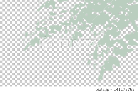 緑色の木のシルエット。木漏れ日。 緑色の木のシルエット。木漏れ日。 141178765