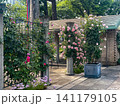 薔薇のある庭園 141179105