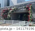 薔薇に囲まれたJRA競馬博物館の入口 141179196